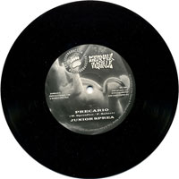 Precario - JUNIOR SPREA